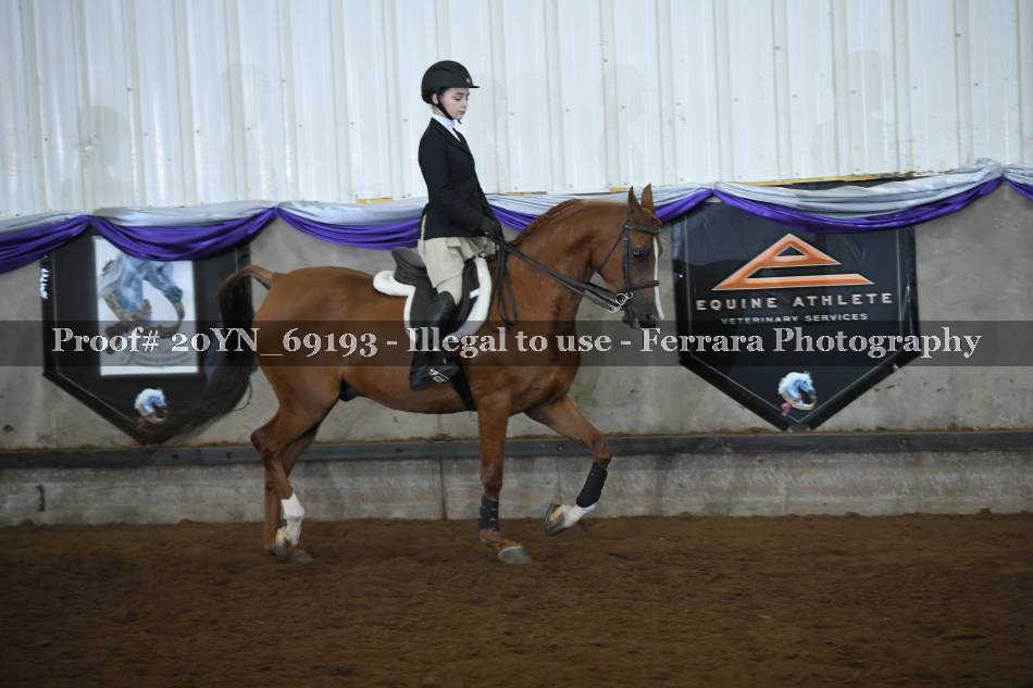 Proof 20YN_69193