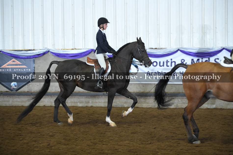 Proof 20YN_69195