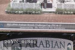 20YN_01801 proof