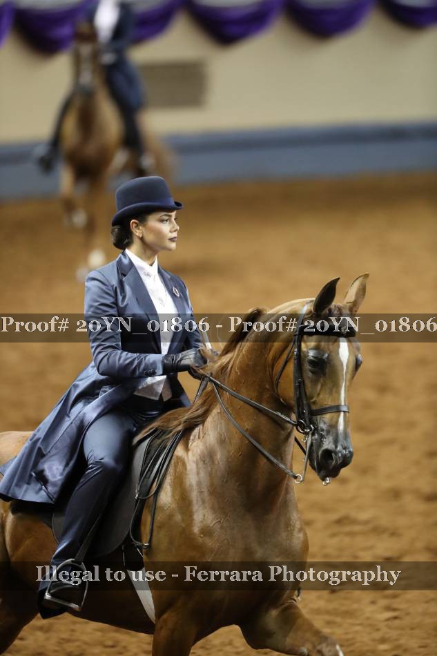 Proof 20YN_01806