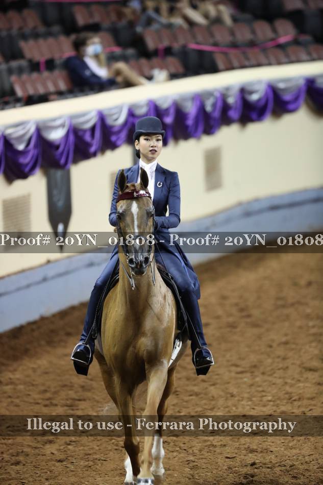 Proof 20YN_01808