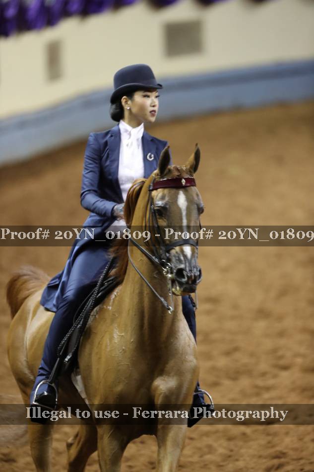 Proof 20YN_01809
