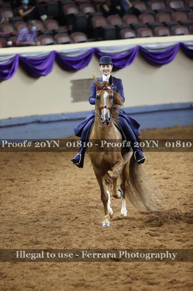 Proof 20YN_01810