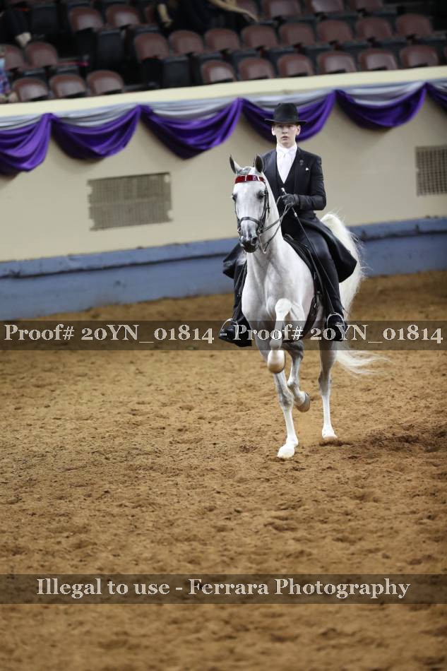 Proof 20YN_01814