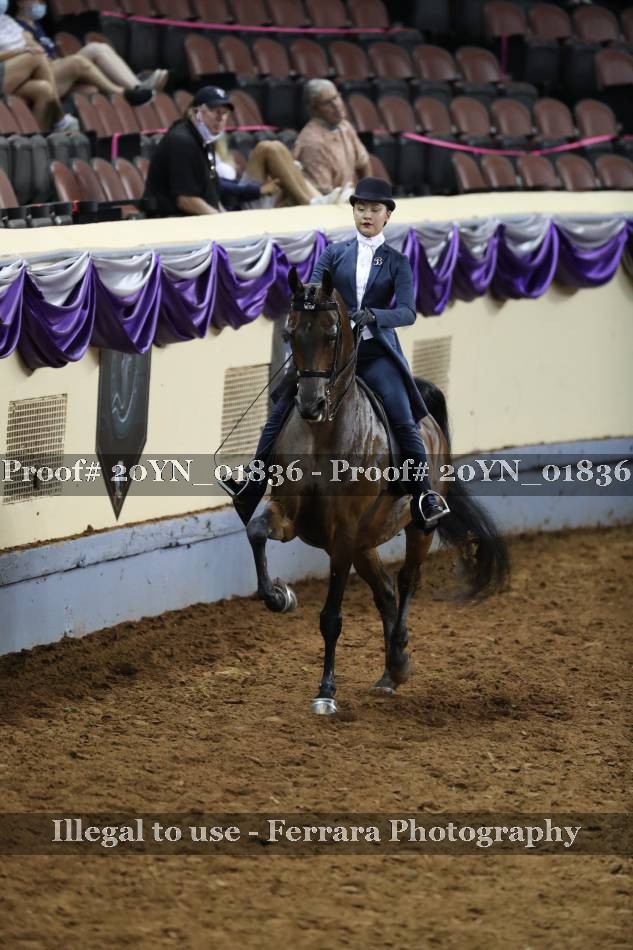 Proof 20YN_01836