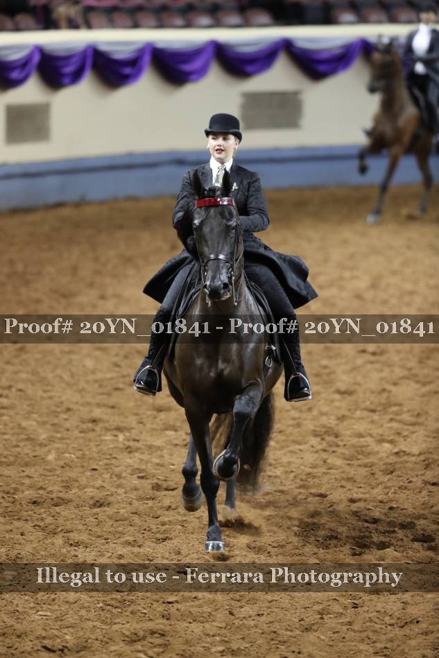 Proof 20YN_01841