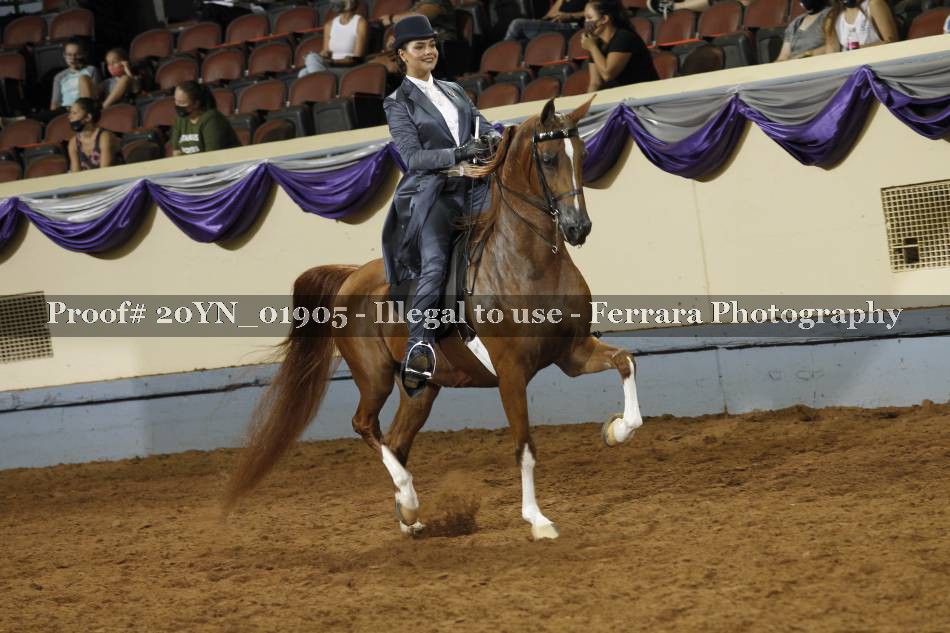 Proof 20YN_01905