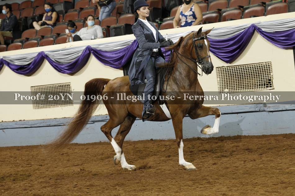 Proof 20YN_01906