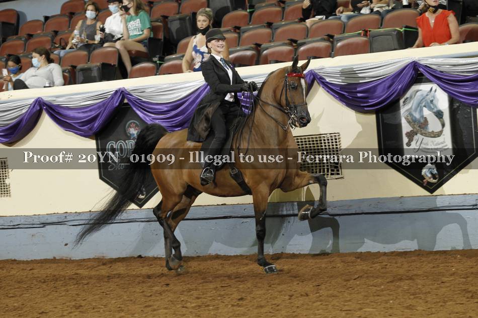 Proof 20YN_01909