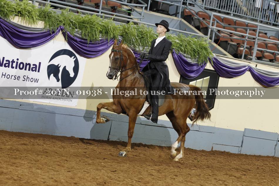 Proof 20YN_01938
