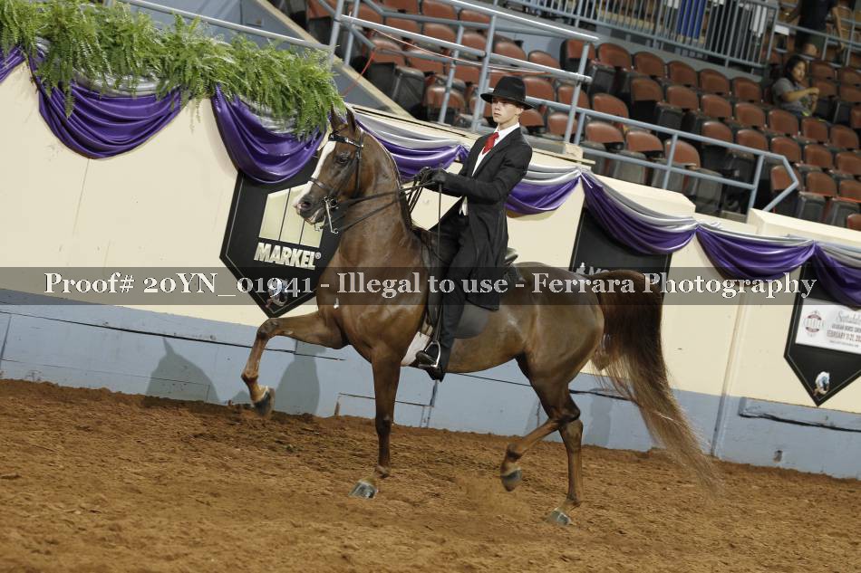 Proof 20YN_01941