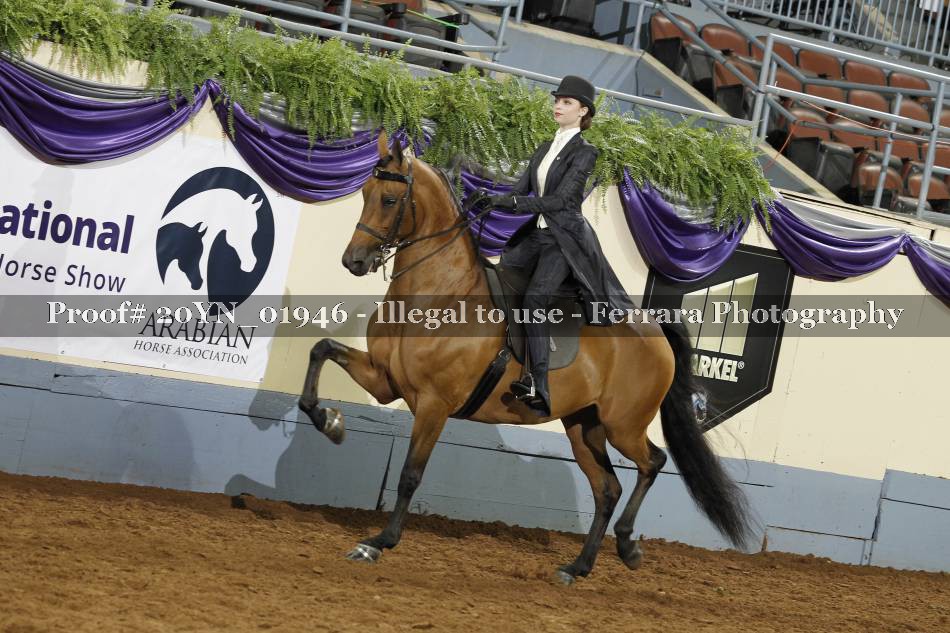 Proof 20YN_01946