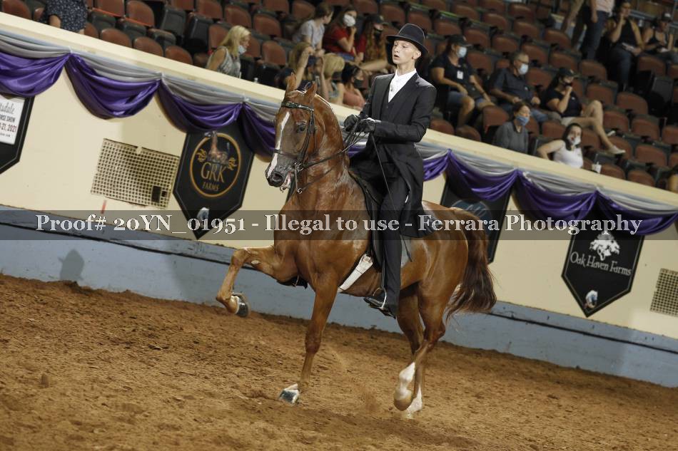 Proof 20YN_01951