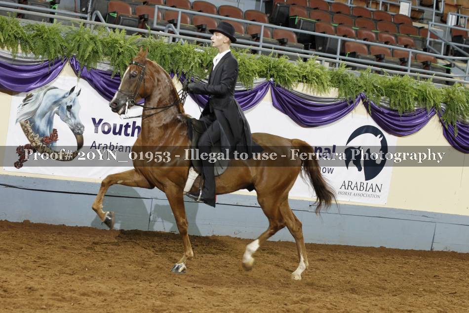 Proof 20YN_01953