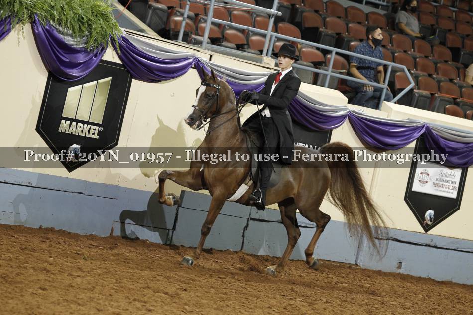 Proof 20YN_01957