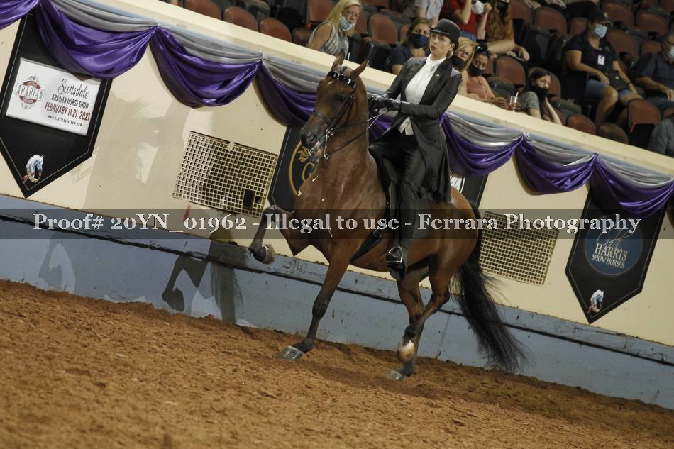 Proof 20YN_01962