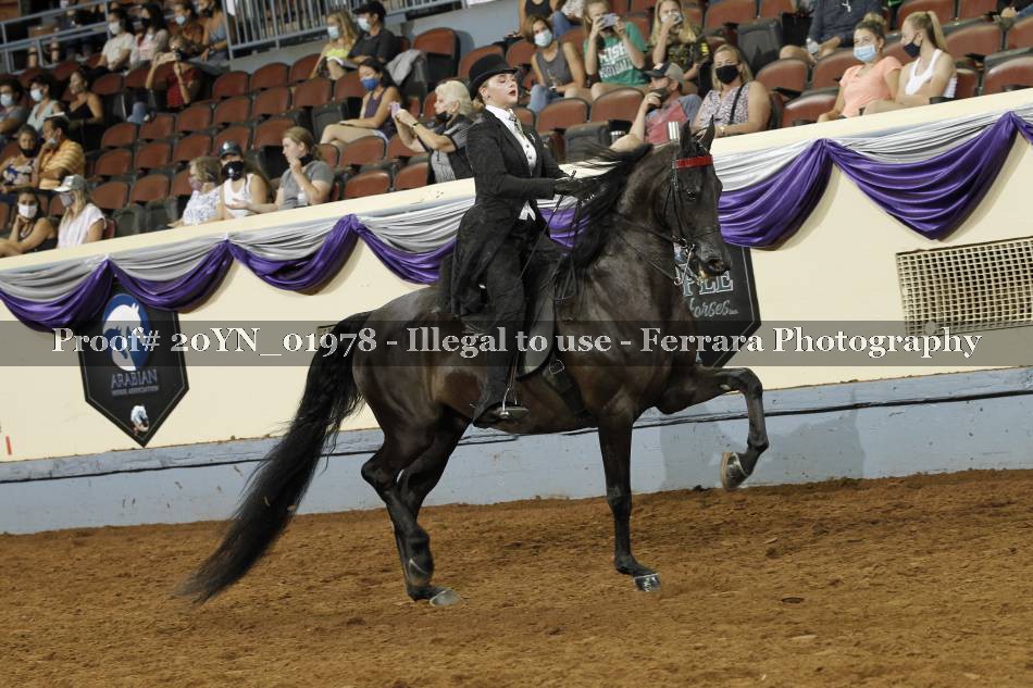 Proof 20YN_01978
