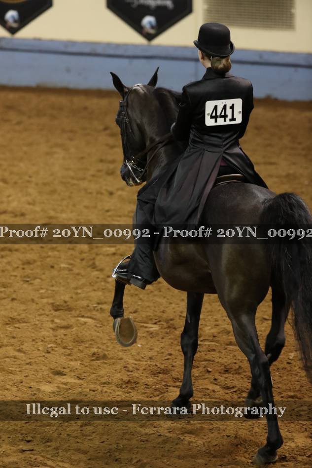 Proof 20YN_00992