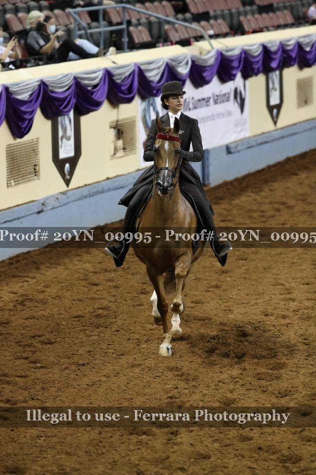 Proof 20YN_00995