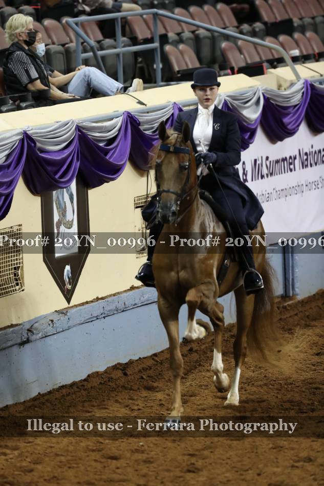 Proof 20YN_00996