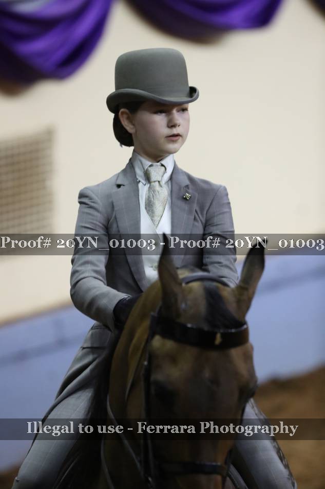 Proof 20YN_01003