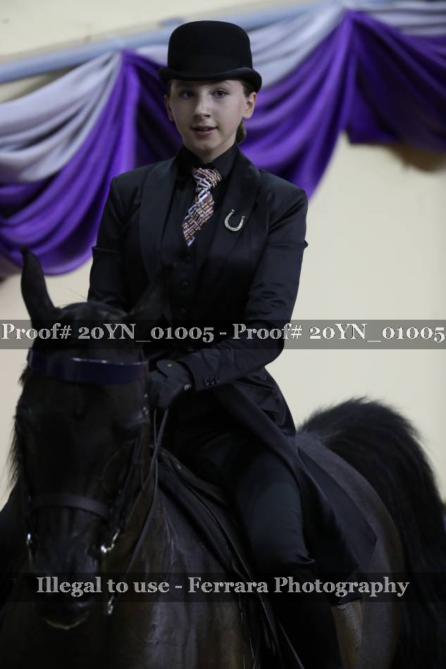 Proof 20YN_01005