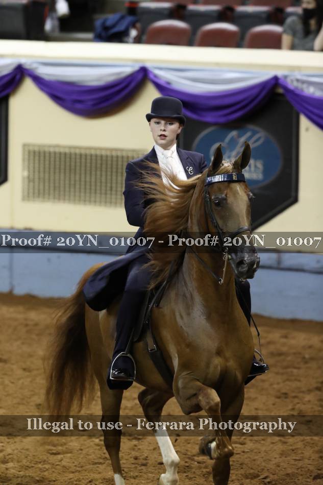 Proof 20YN_01007