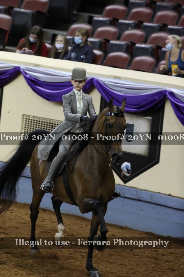 Proof 20YN_01008