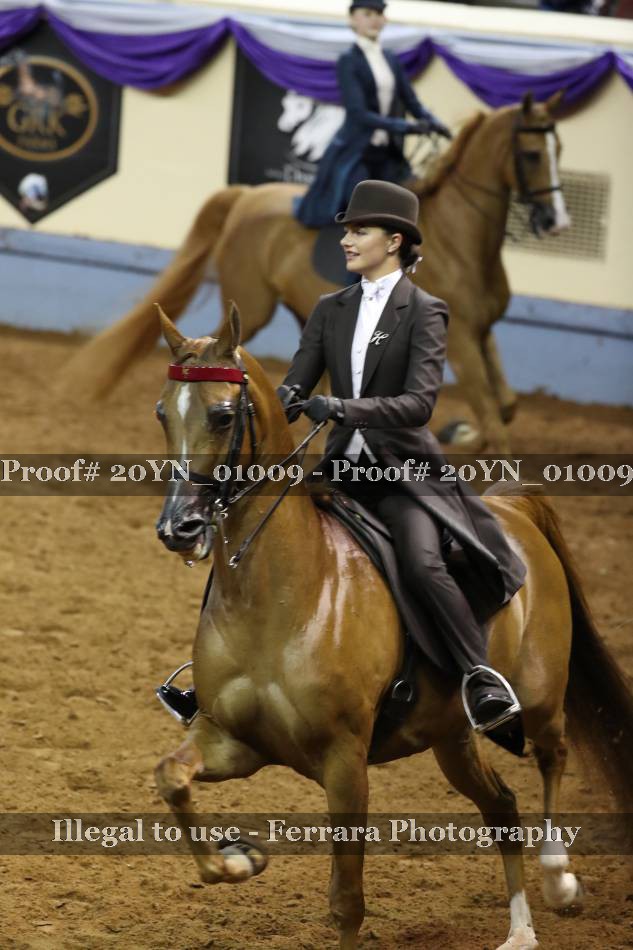Proof 20YN_01009