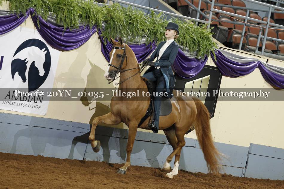 Proof 20YN_01035