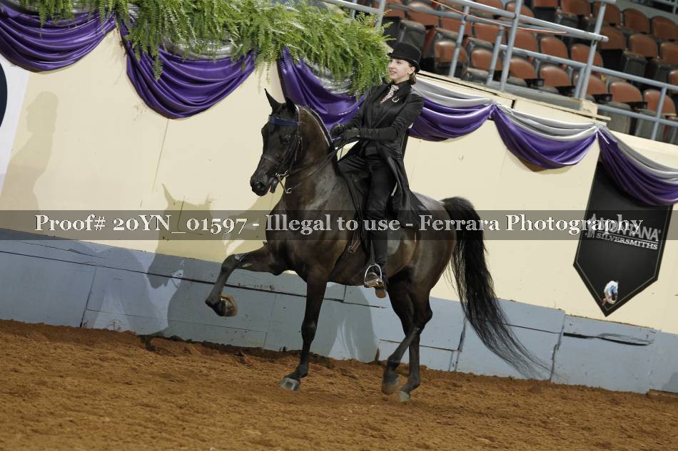 Proof 20YN_01597
