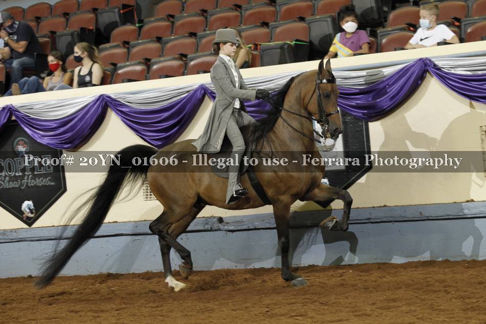 Proof 20YN_01606