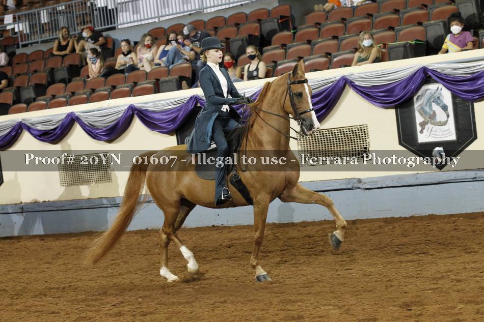 Proof 20YN_01607