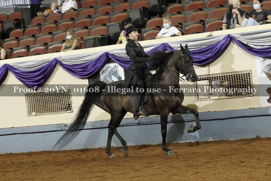 Proof 20YN_01608