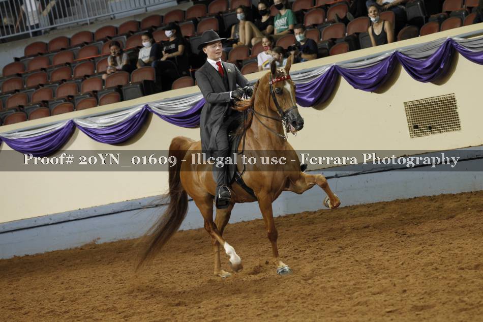 Proof 20YN_01609