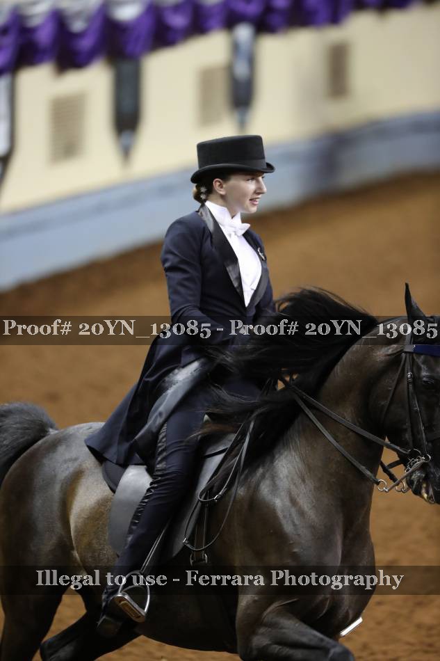 Proof 20YN_13085