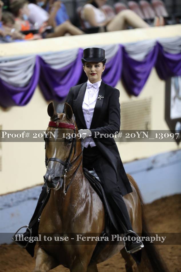 Proof 20YN_13097