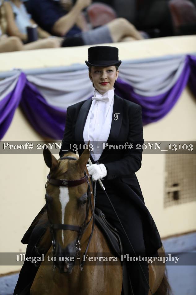 Proof 20YN_13103
