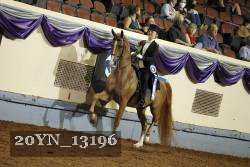 20YN_13196 proof