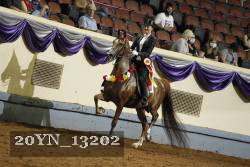 20YN_13202 proof