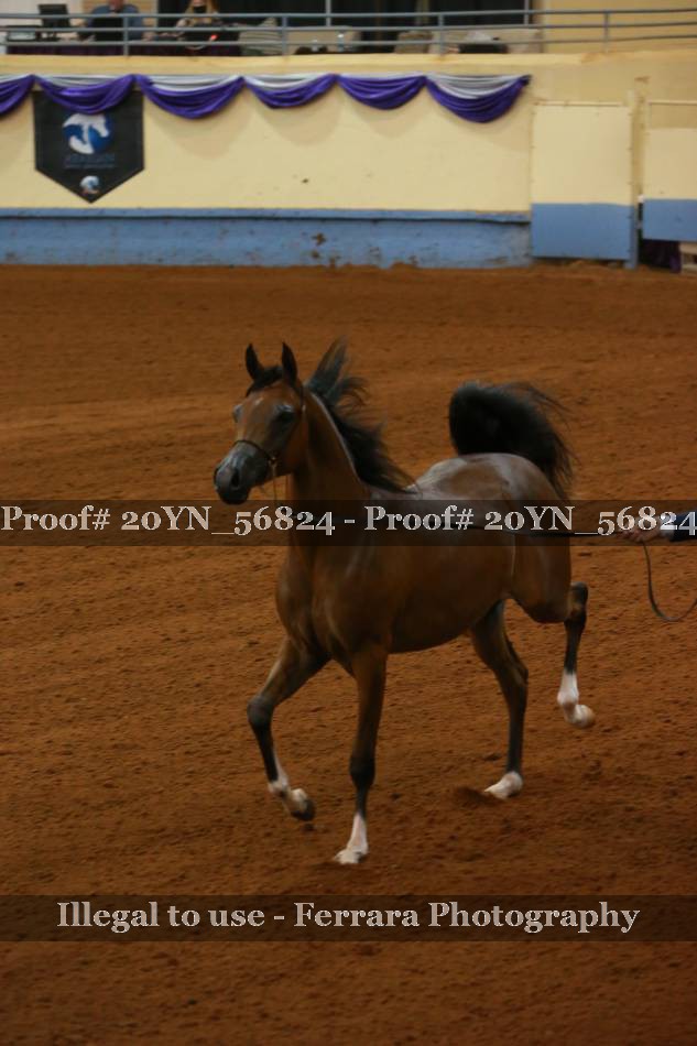Proof 20YN_56824