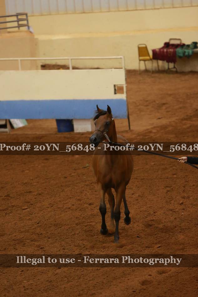 Proof 20YN_56848