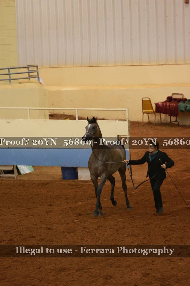 Proof 20YN_56860