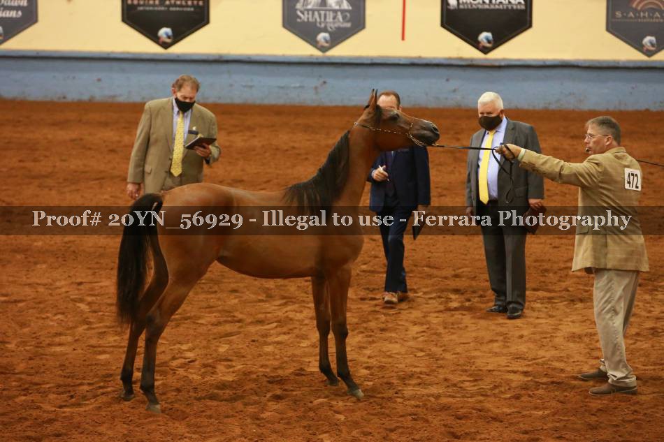 Proof 20YN_56929
