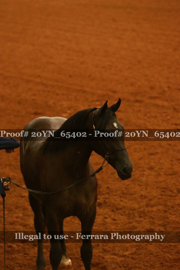 Proof 20YN_65402