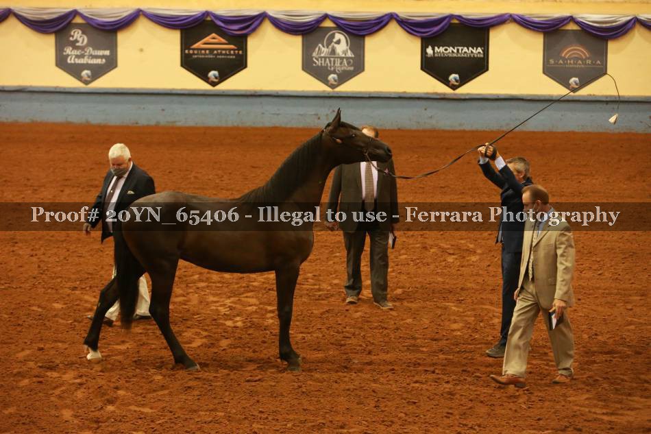 Proof 20YN_65406