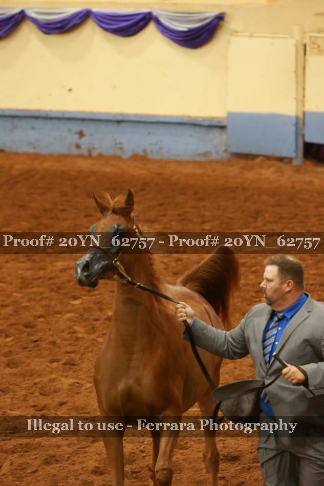 Proof 20YN_62757