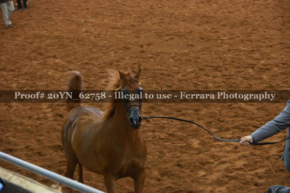 Proof 20YN_62758