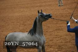 20YN_57064 proof