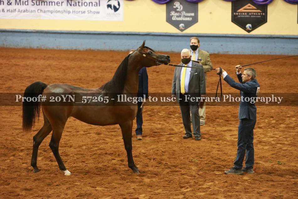 Proof 20YN_57265